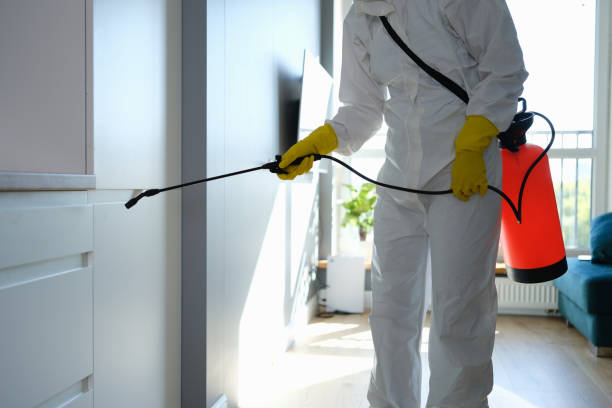 Best Post-Flood Mold Remediation in Roselawn, IN