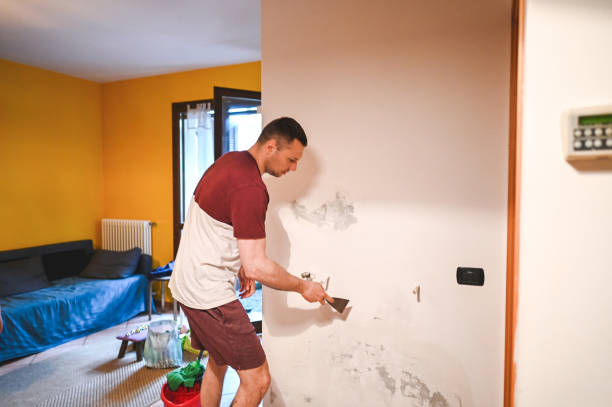 Best Post-Flood Mold Remediation in Roselawn, IN